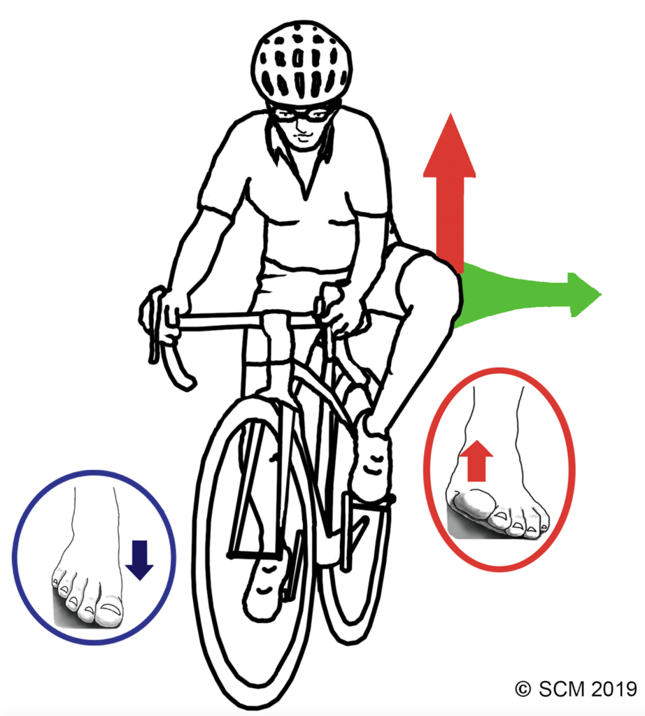 Girl on bike dorsiflexing, lifting and rotating leg to show action of the inside leg while skiing.  Good for pressure management and dynamics.